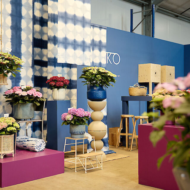 FlowerTrials: het podium voor de hortensia van morgen