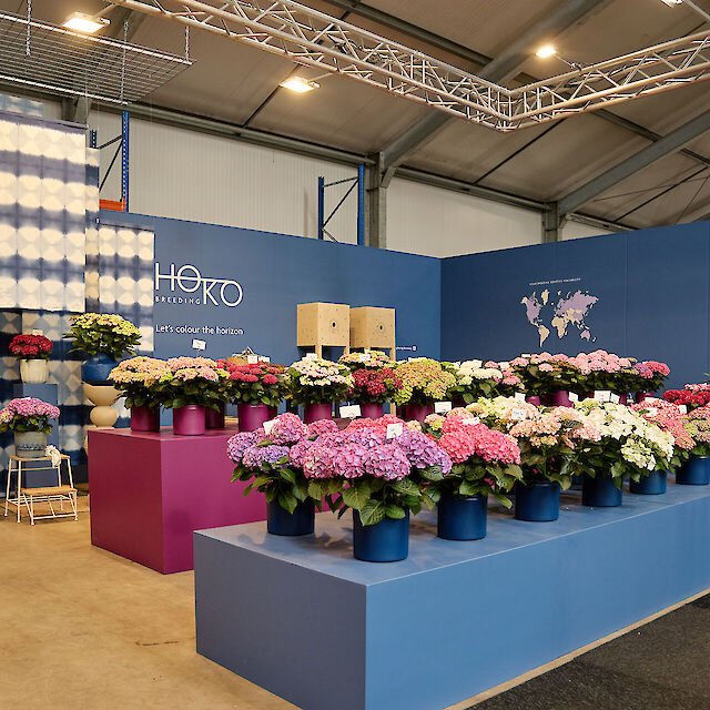 Sterke noviteiten tijdens FlowerTrials